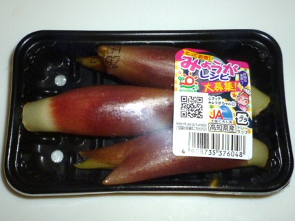 みょうが.JPG