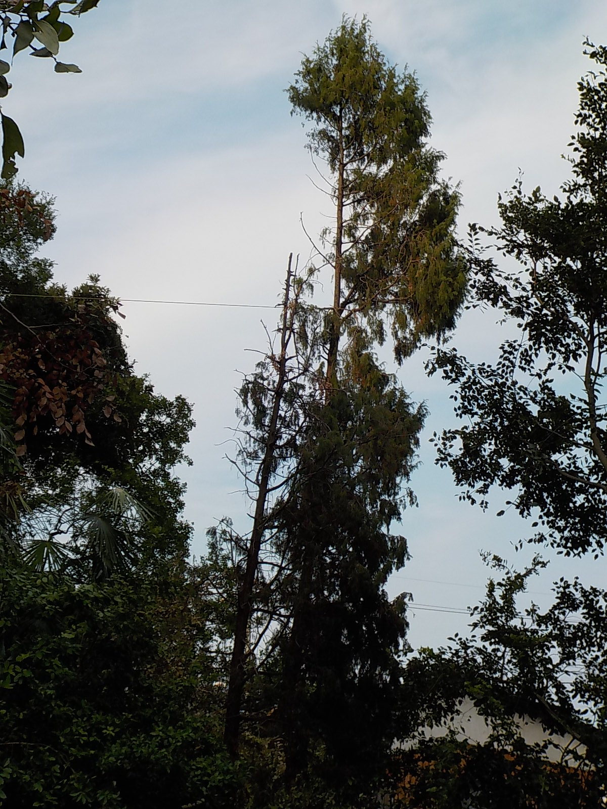 DSCN0416.JPG