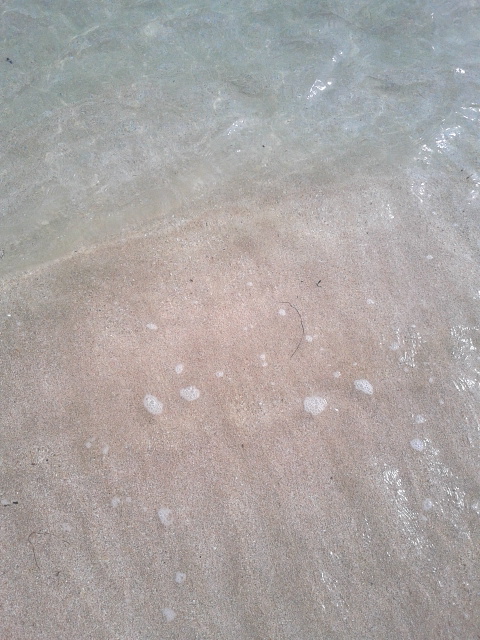 DVC00166.JPG