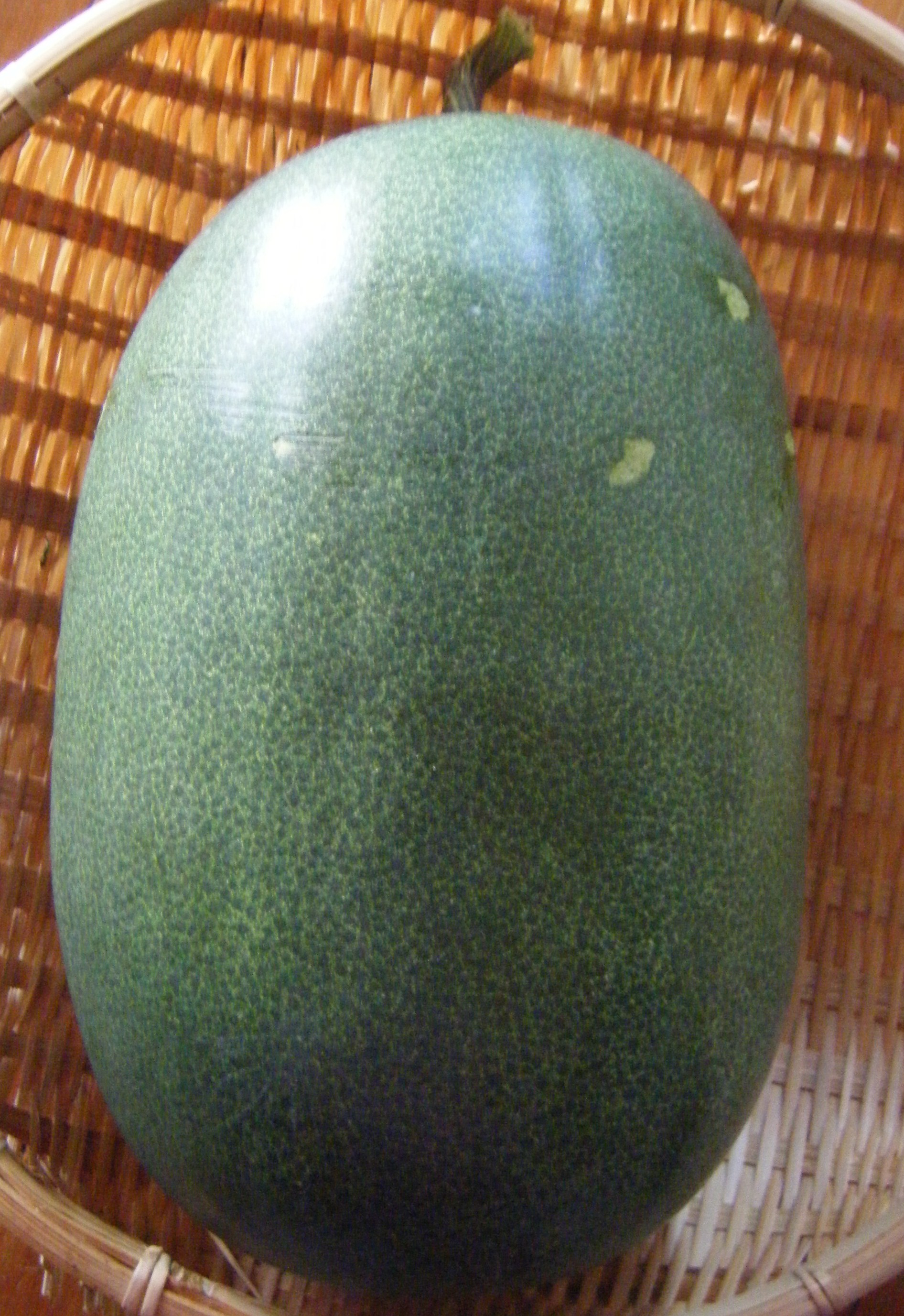 DSCF1248.jpg