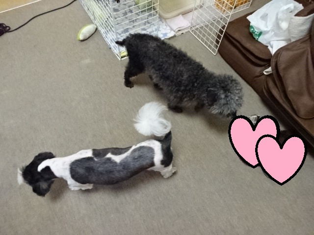 DSC07077.JPG