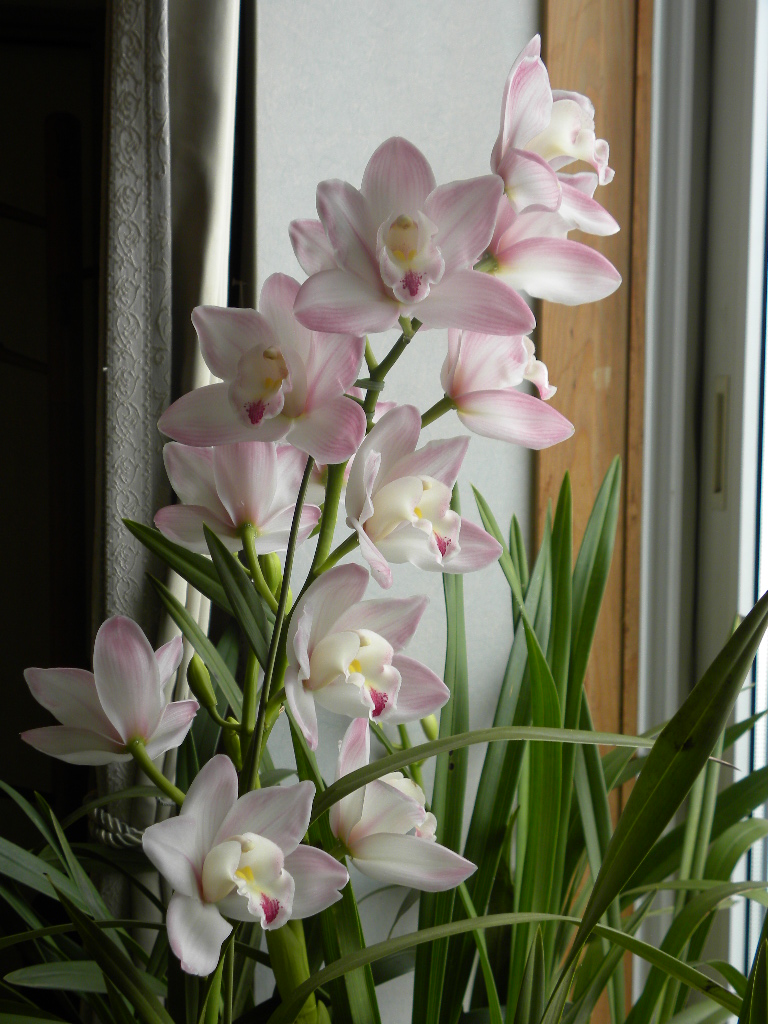 DSCN0306.JPG