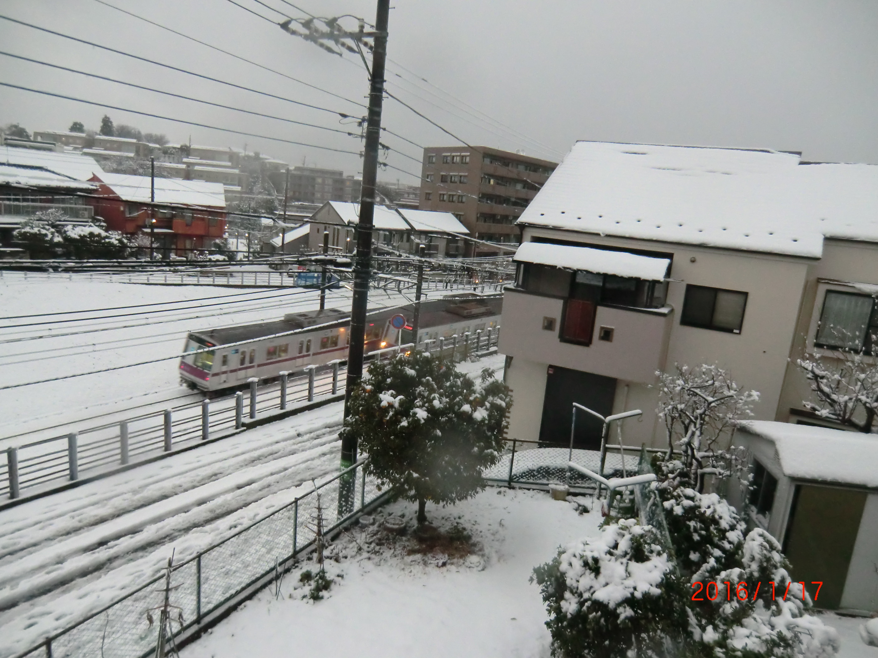 002大雪.JPG