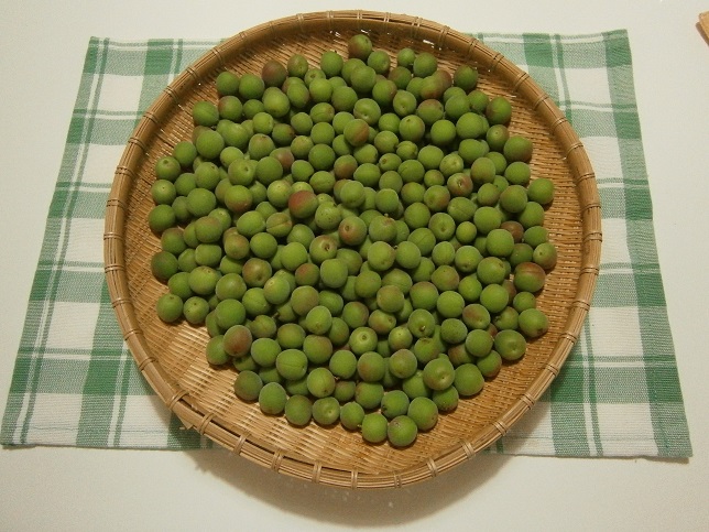 P5020940a.JPG