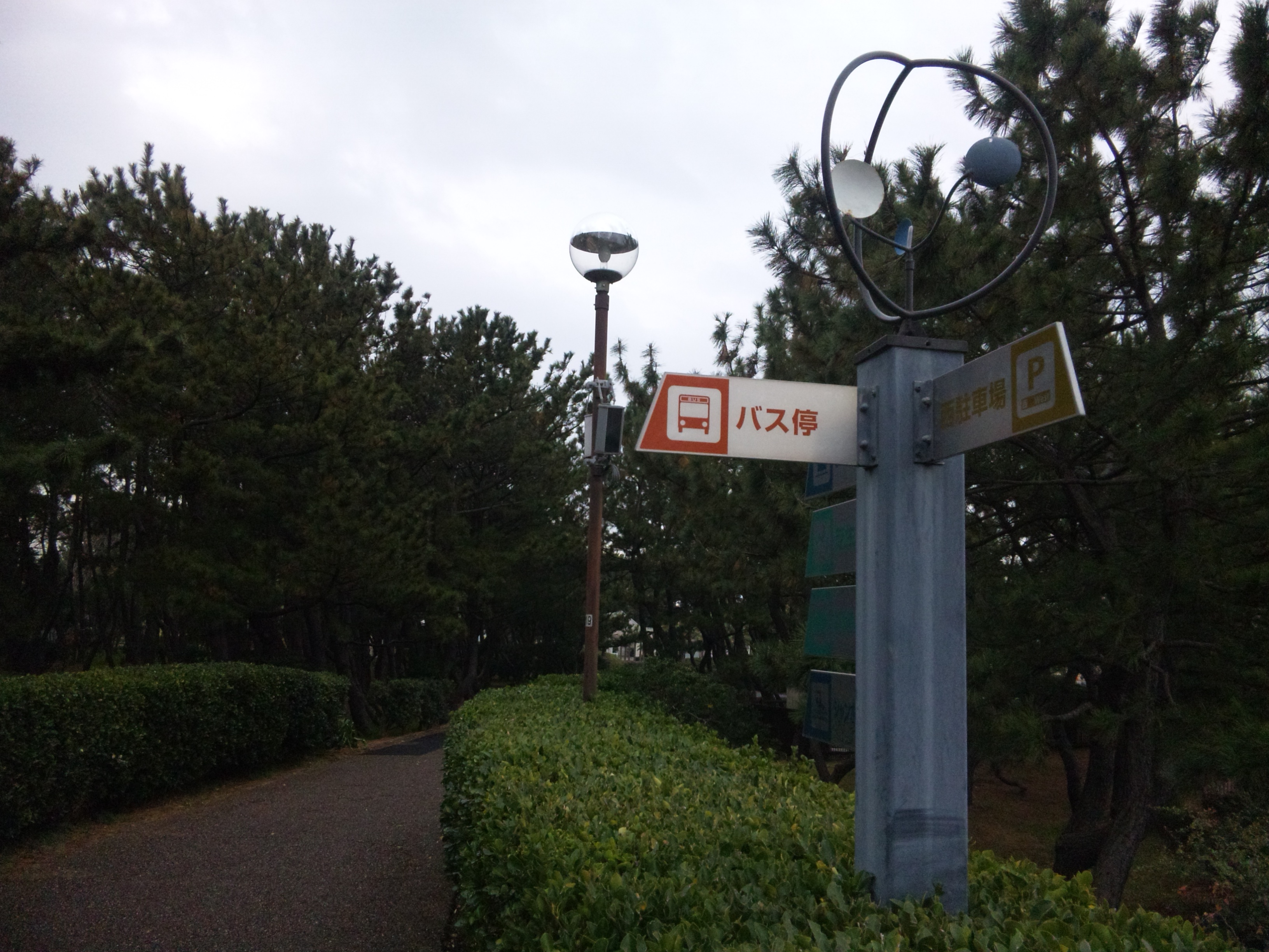DVC00008  20121217.JPG