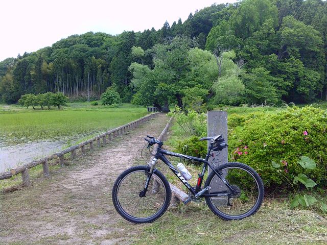 250529shikarawasoba10.jpg