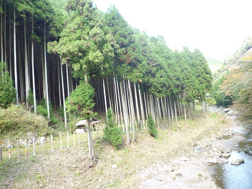 P1030384.jpg