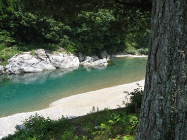 ランチの場所の前にはこんなきれいな川.jpg