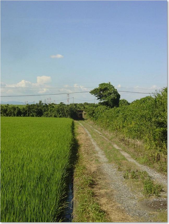 31この先は架道橋