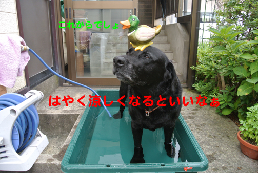 2.JPG