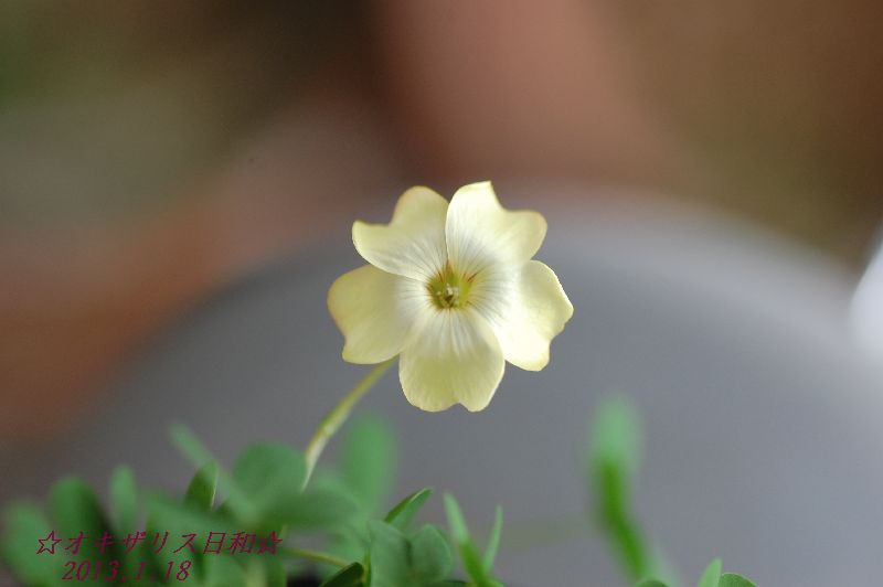 DSC_5988.JPG