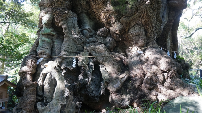 20151127 11052501.jpg