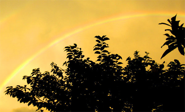 rainbow.jpg