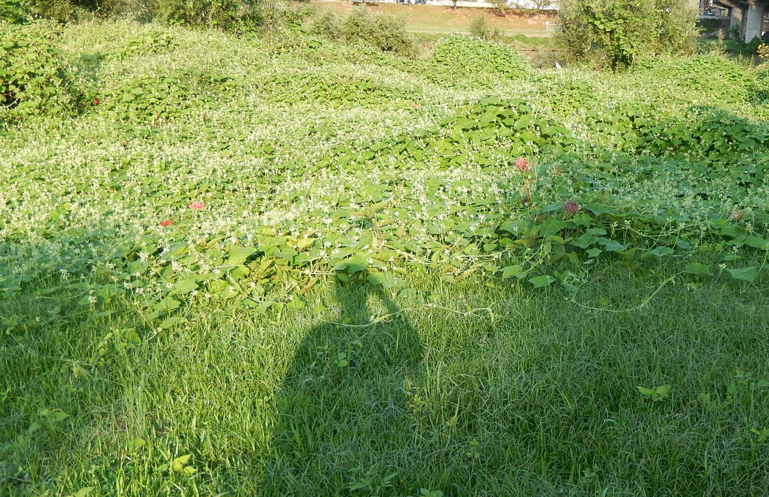 140928-2-4.jpg