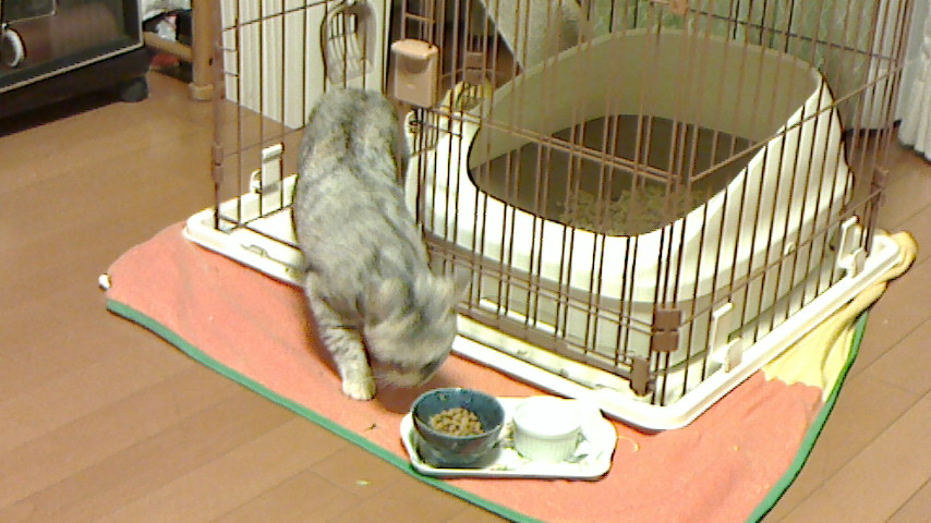 NEC_0604.JPG