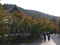 122.jpg