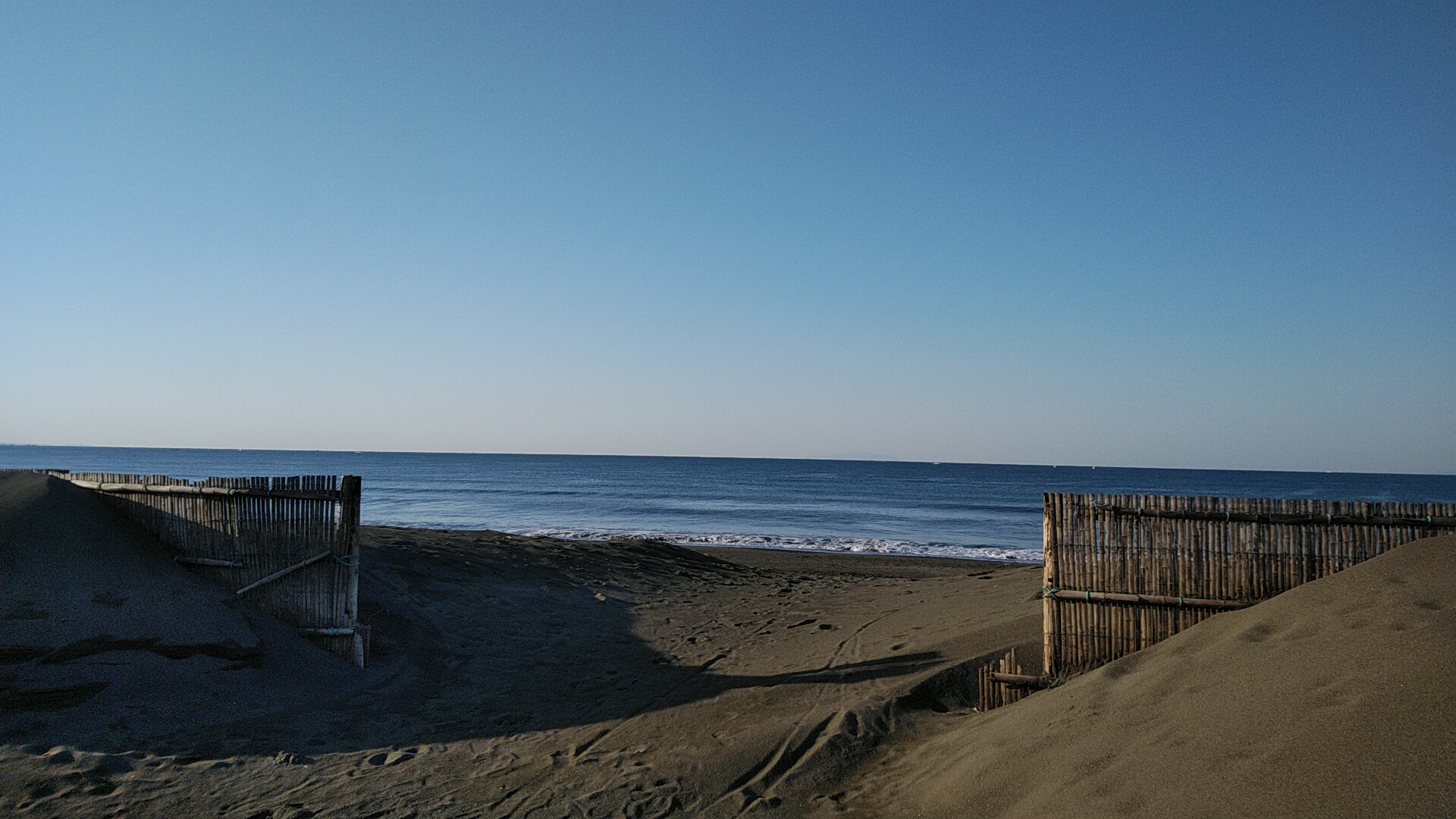 20230409  DSC_0003.jpg