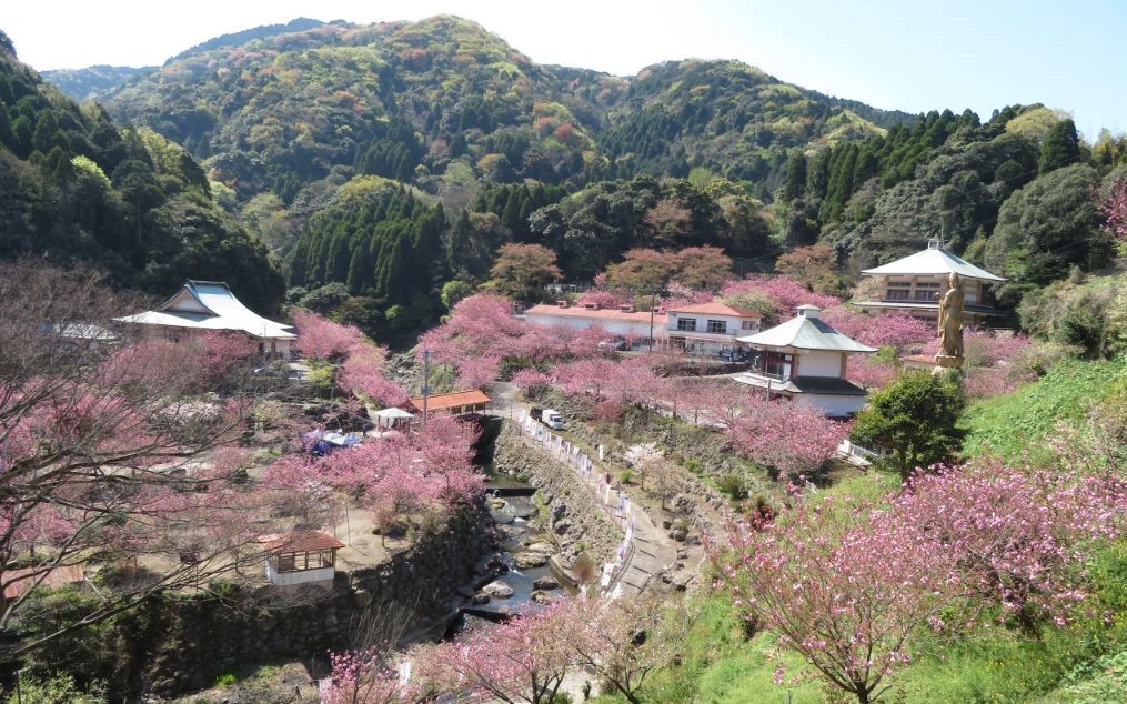 一心寺 (22).jpg