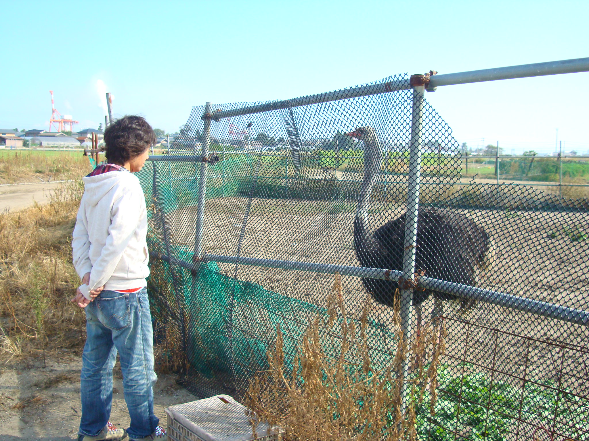 DSC03383.JPG