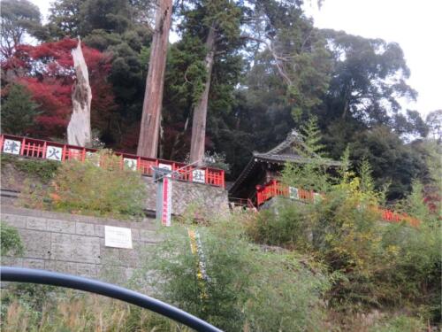 保津川下り (12).jpg