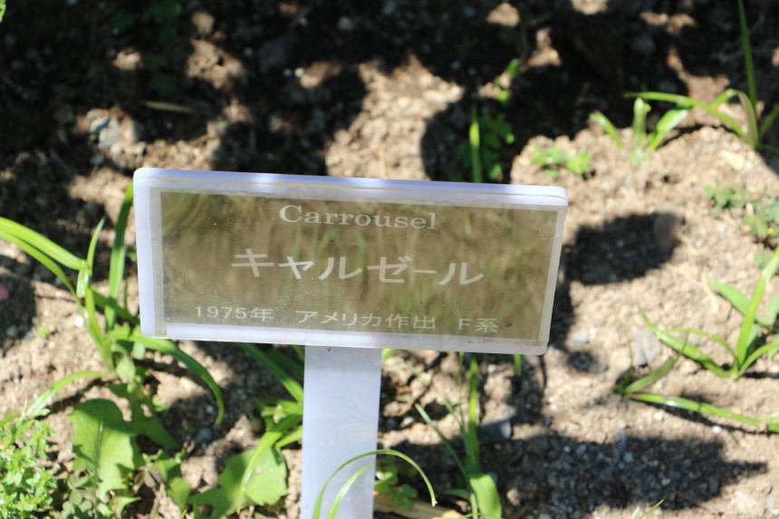 H41A5856.JPG