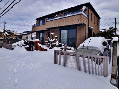 R0050783 (1024x768).jpg