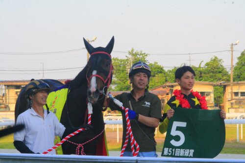 新緑賞２５ドラゴンｂ.jpg