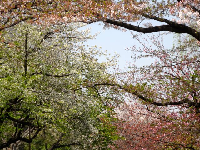 2014.4ueno1.jpg