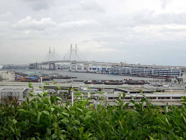 港の見える丘公園4月24日 (4).JPG
