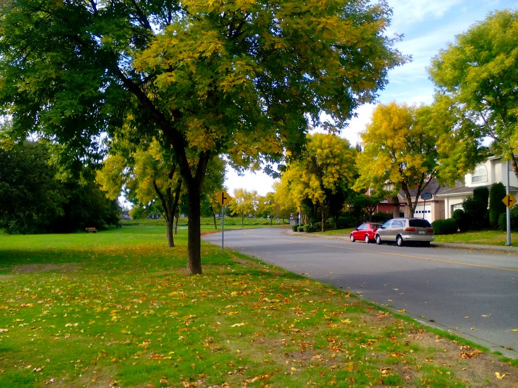 20150907 at terra nova.jpg