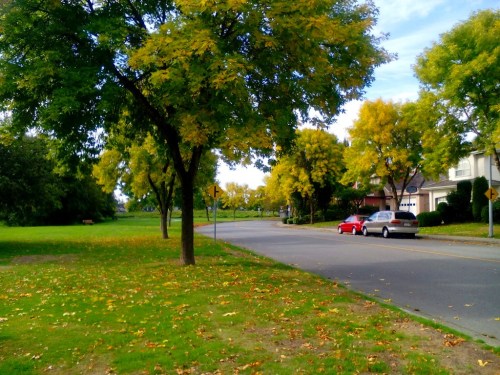 20150907 at terra nova.jpg