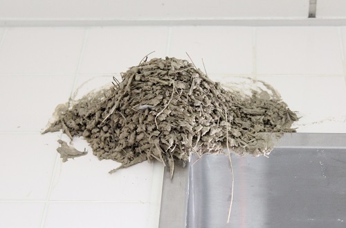 ツバメの巣 (3).JPG