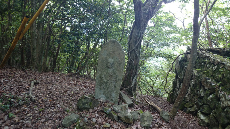 DSC_0927.jpg