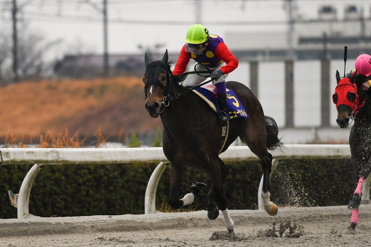 ライデンリーダー記念１９ａ.jpg