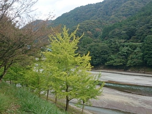 20151011  DSC_0007.jpg