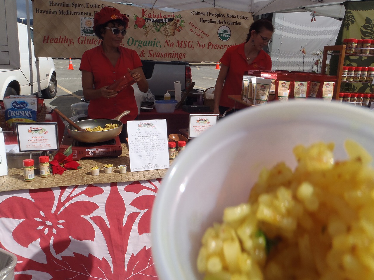 ２０１２年ハワイ 489.jpg