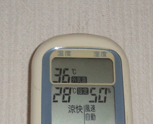 CIMG3017.JPG
