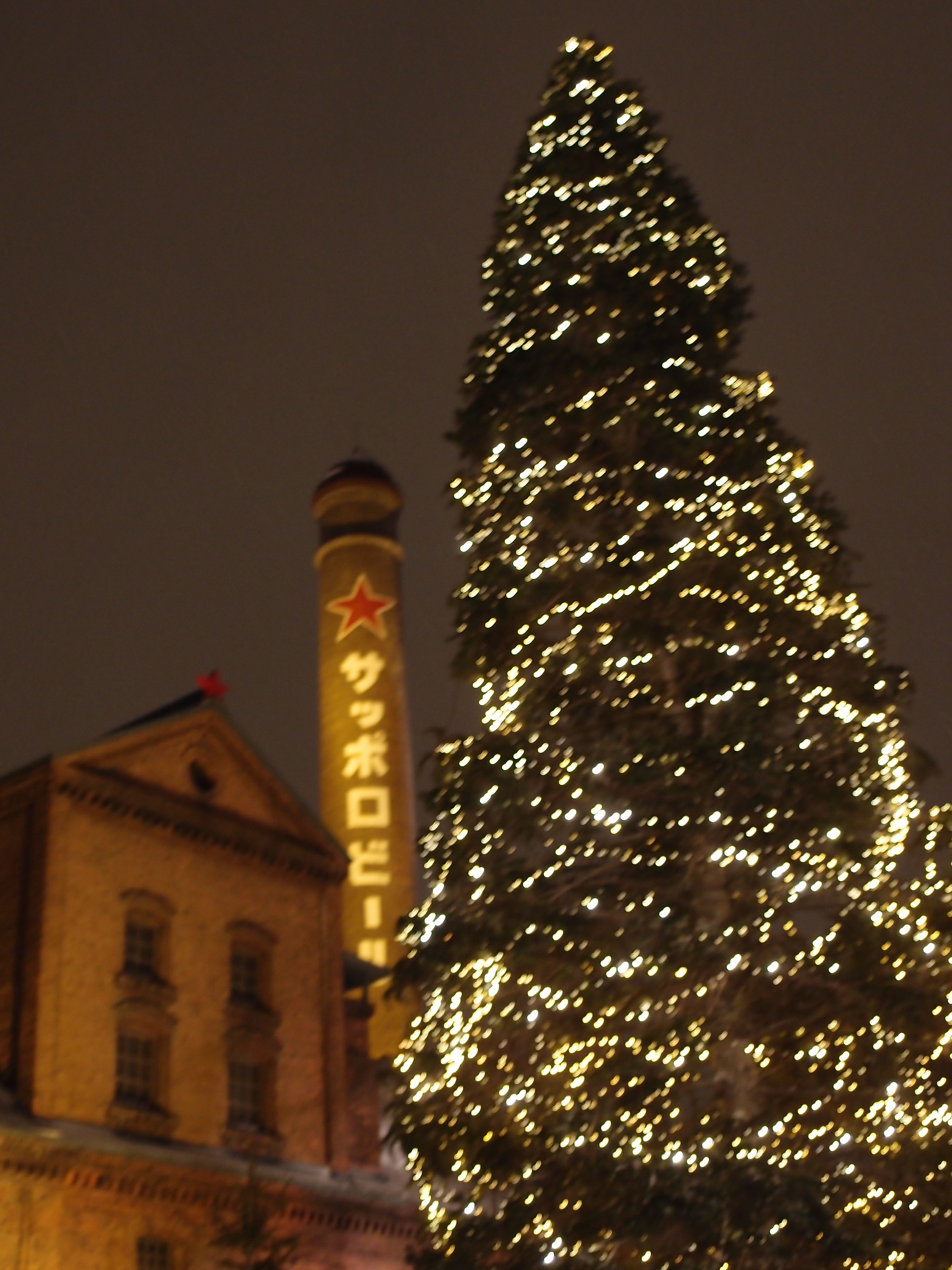 P3161942.jpg