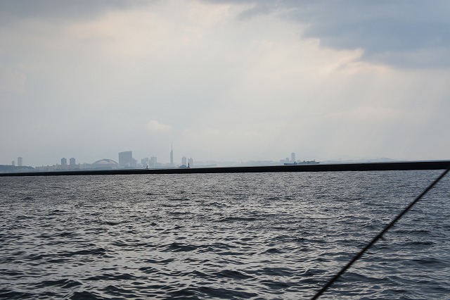 showPhoto (640×426)