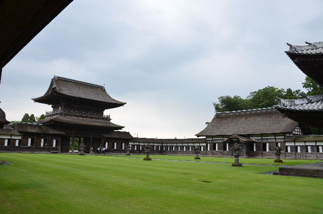DSC_3514.JPG