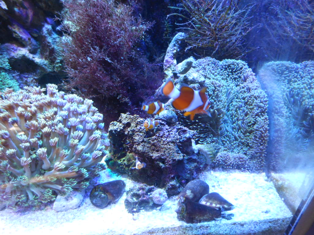 DSCN4154.JPG