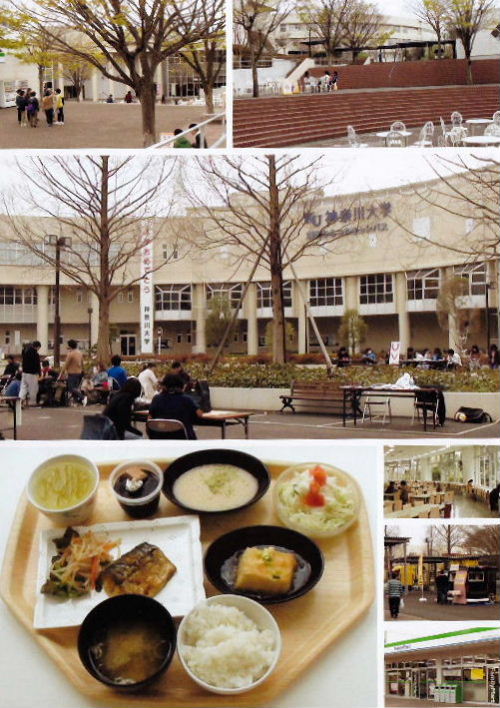 2013年4月の出来事A4.JPG