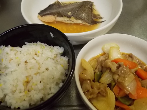 カレイの煮つけ&豚肉入り野菜炒め.JPG