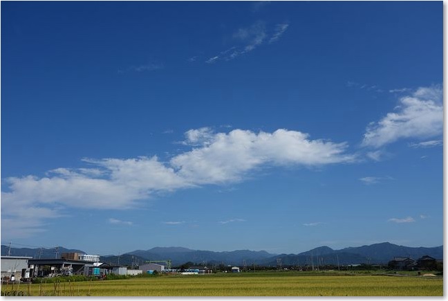 07い～い天気です