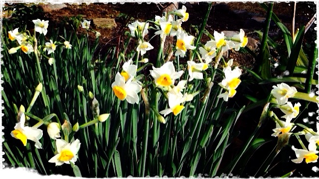 201401061335_3516_iphone.jpg