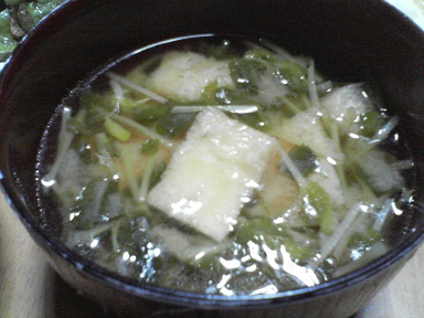 味噌汁20082905