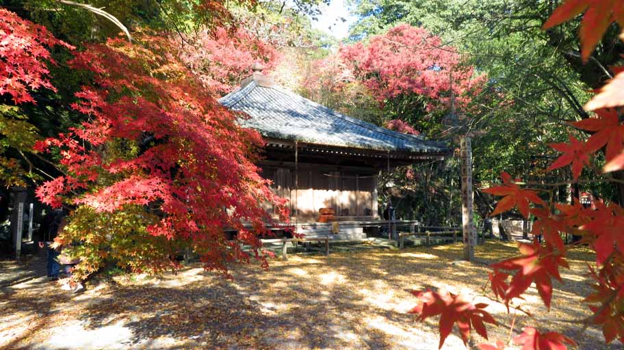 富貴寺 (8).JPG