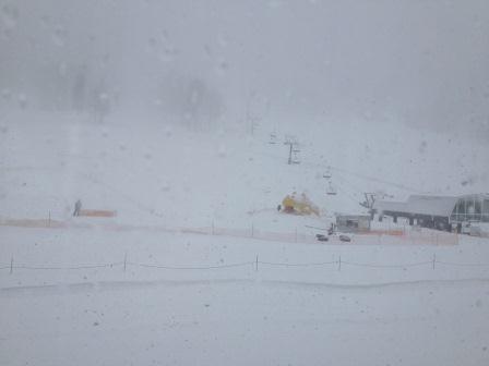 雪降りの朝.jpg
