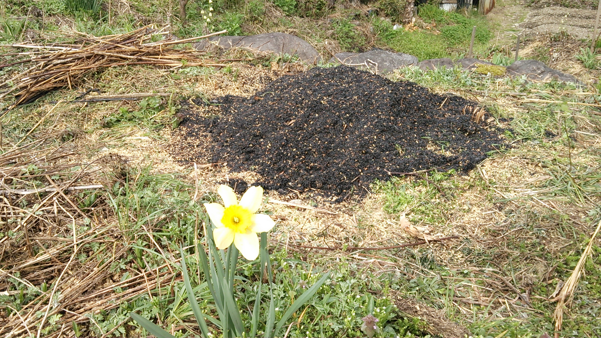 DSC_0041.JPG