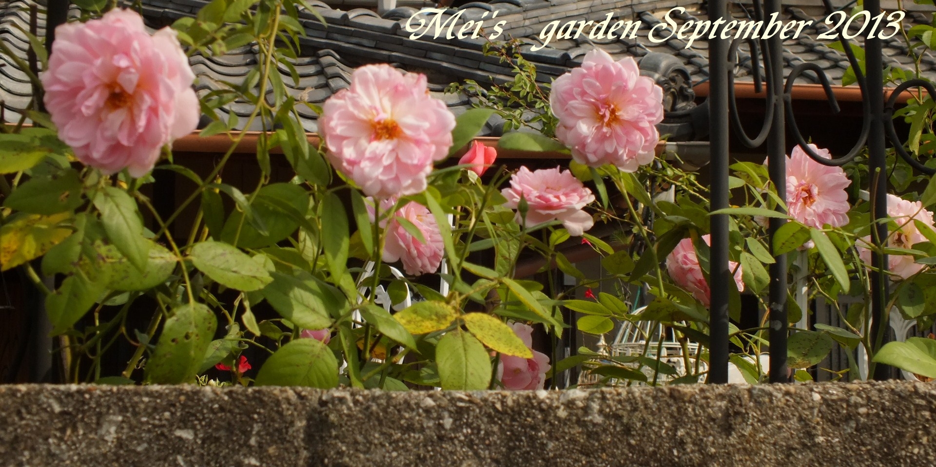 DSCF0371.JPG